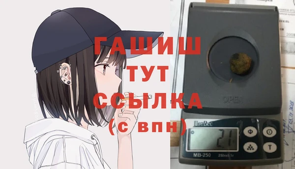 шишки Верея