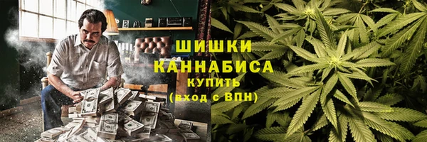 прущие грибы Верхнеуральск